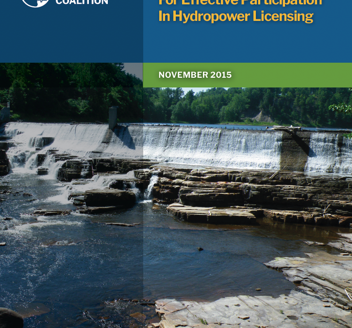 Citizen Guide for Effective Participation in Hydropower Licensing