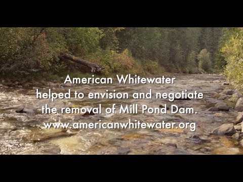 Mill Pond Dam Removal Begins!
