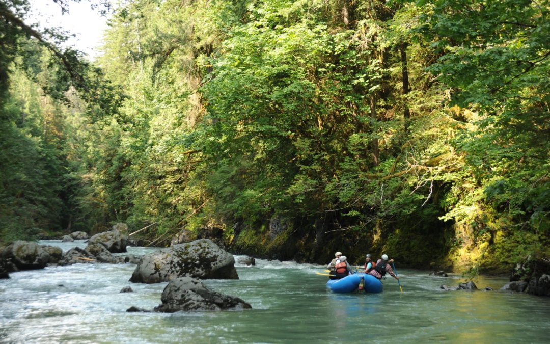 Plan to Improve North Fork Nooksack River Finalized