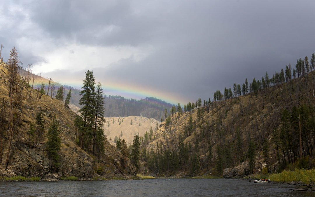 Saving salmon, rebuilding infrastructure