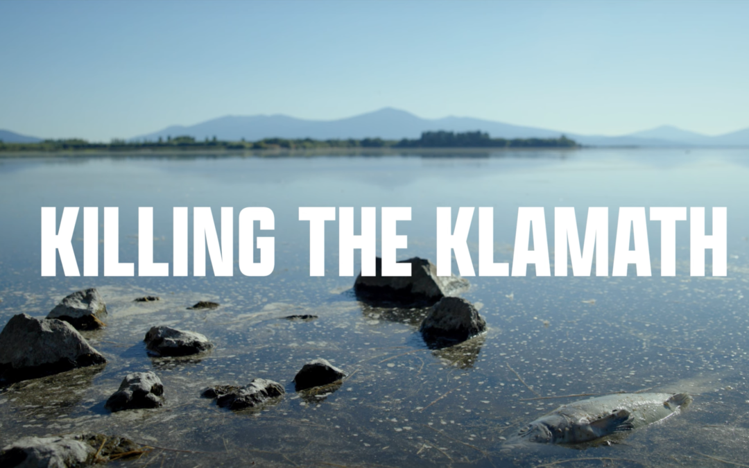 Killing The Klamath