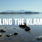 dead fish in polluted Klamath River water