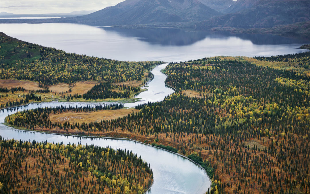 Alaskans: Be a voice for reserving water in rivers for fish