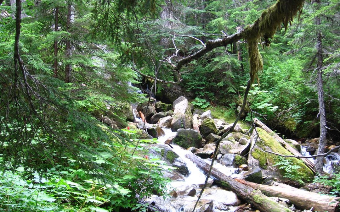 Big Beaver Valley, Skagit River, WA