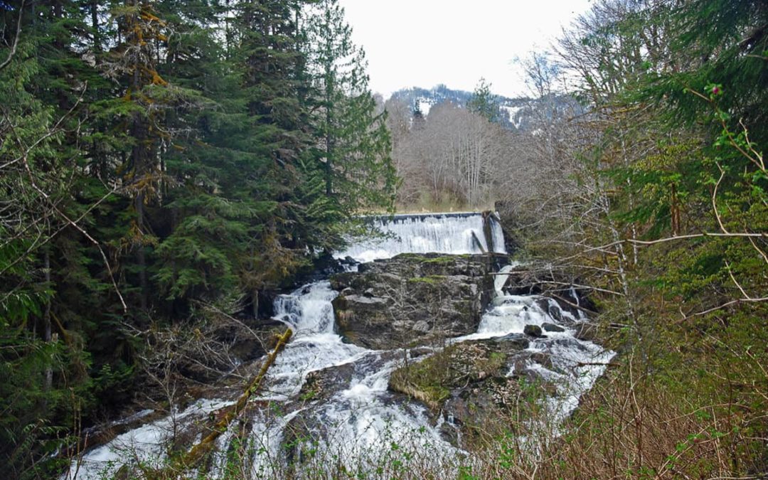 Lower Bear Creek Dam and Falls, WA