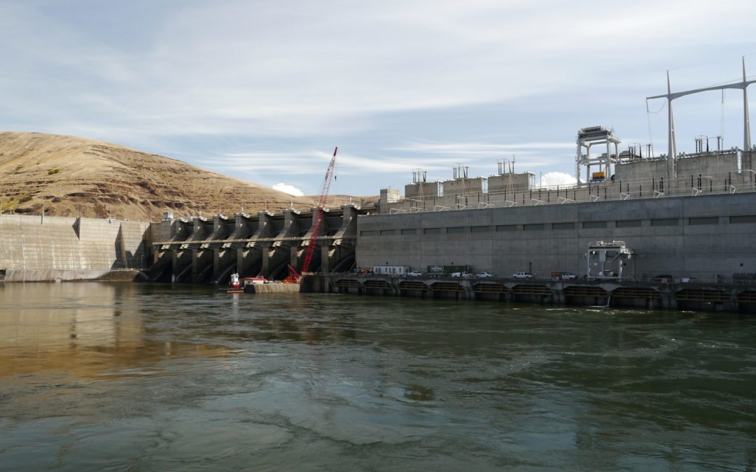 The science is clear: Snake River dams kill too many fish