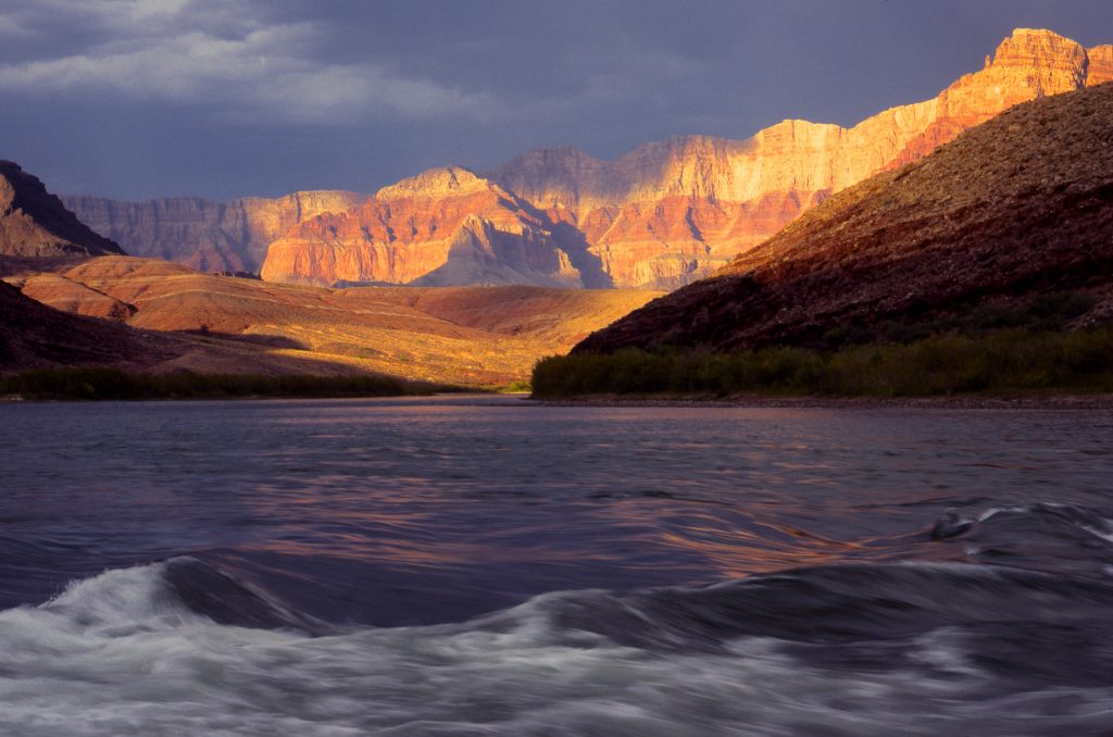 Colorado River, AZ | Photo by Tim Palmer