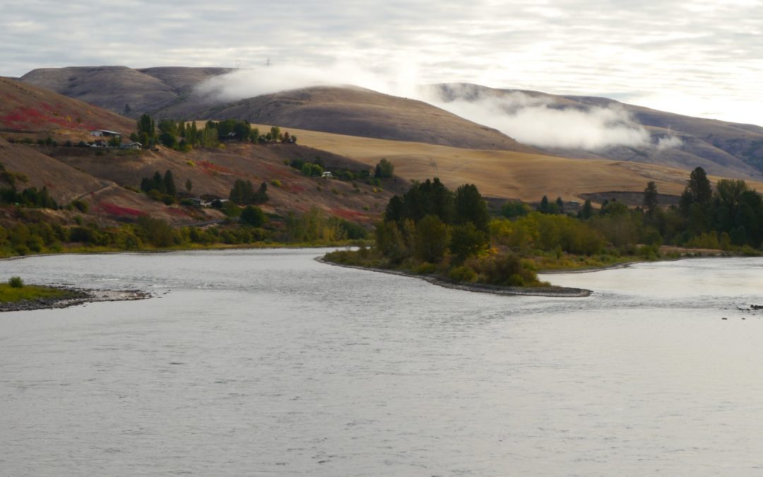 The Snake River basin is a climate-change refuge for migrating salmon and steelhead