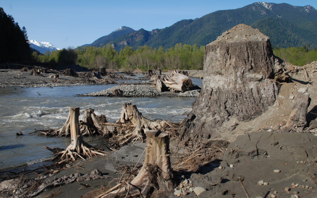 Visiting the Elwha (WA)