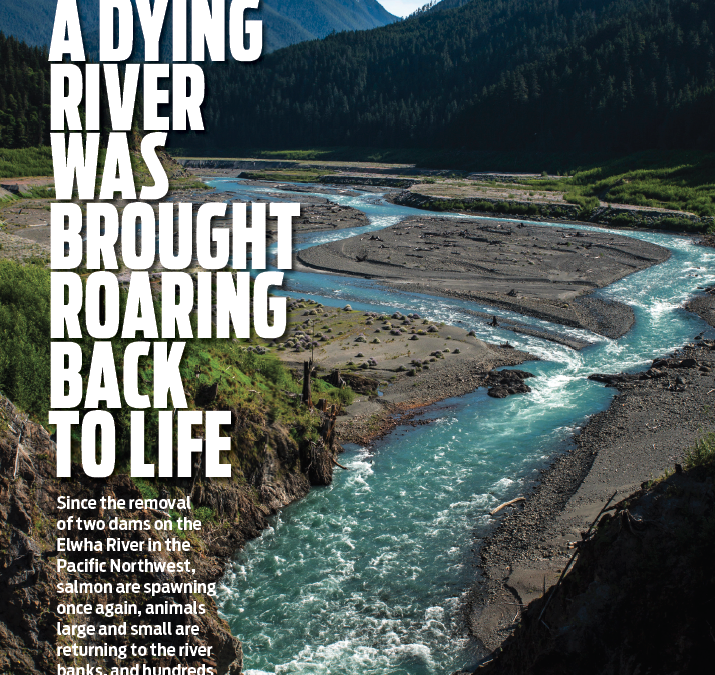 How a Dying River Came Roaring Back to Life