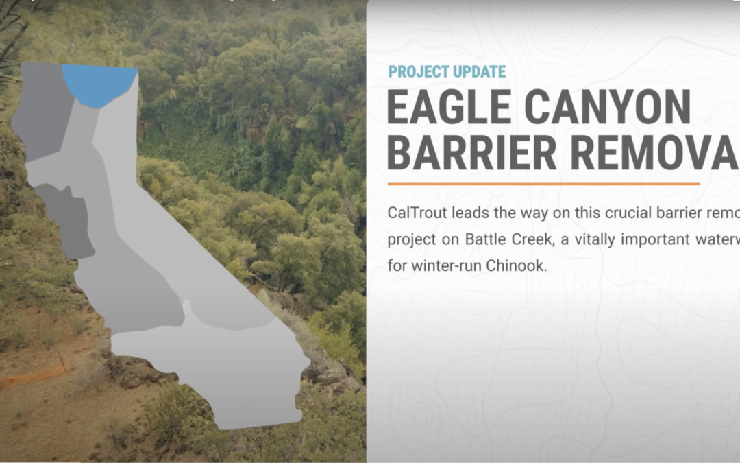 Eagle Canyon/Battle Creek Fish Passage Project