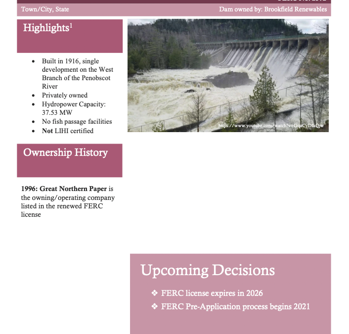 Ripogenus Dam Factsheet