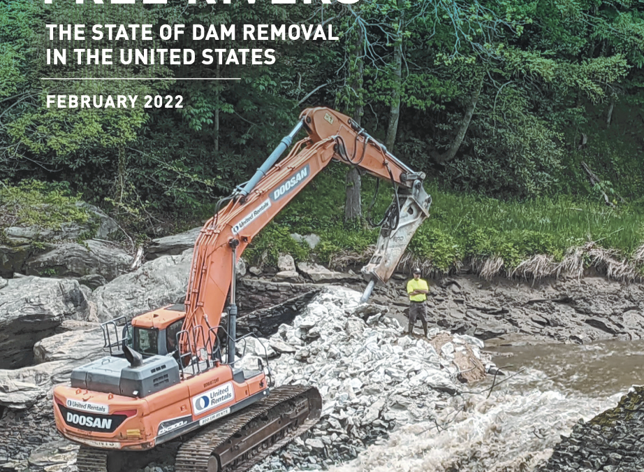 Free Rivers: The State of Dam Removal in the U.S.