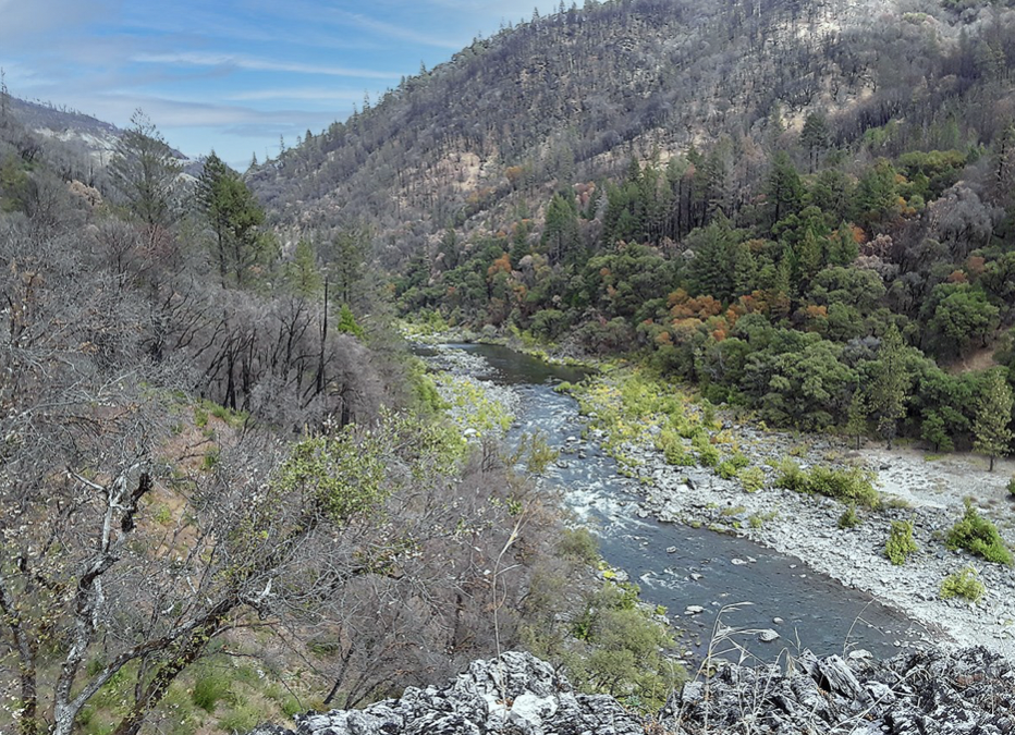 American Whitewater Wins Fight For New Hiking Trail on North Fork Feather (CA)!