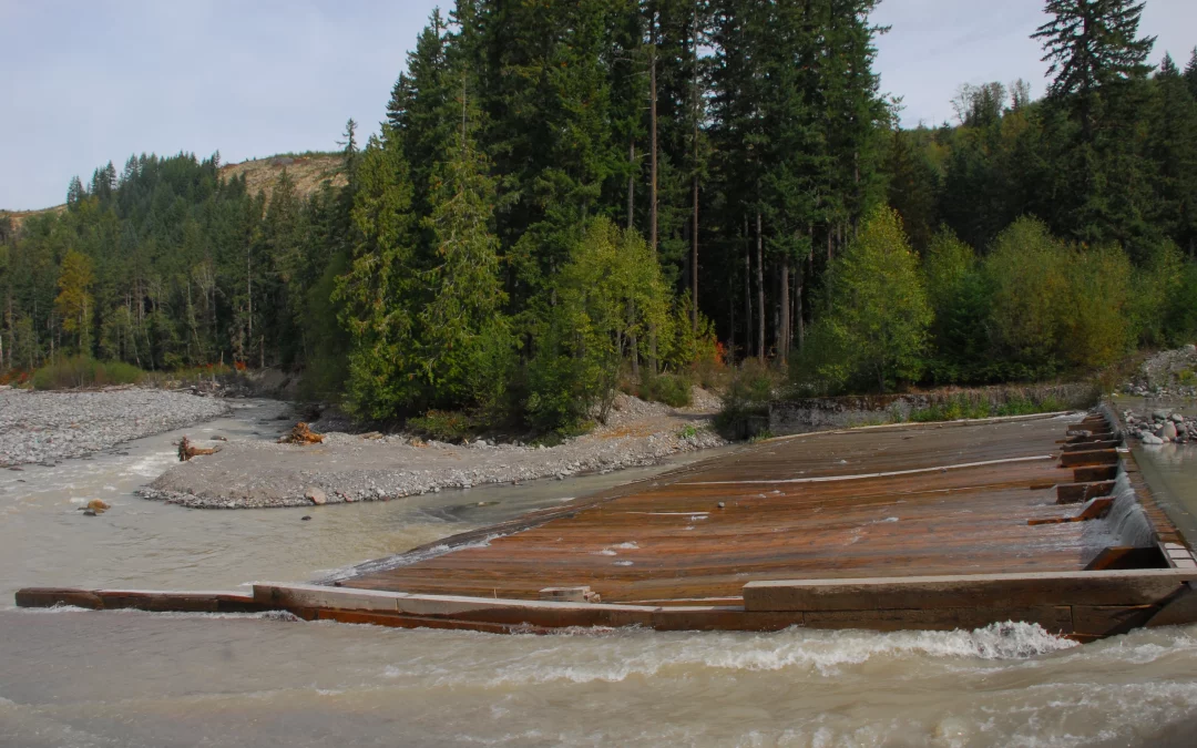 Electron Dam Operator Signs Agreement to Protect Puyallup River (WA)