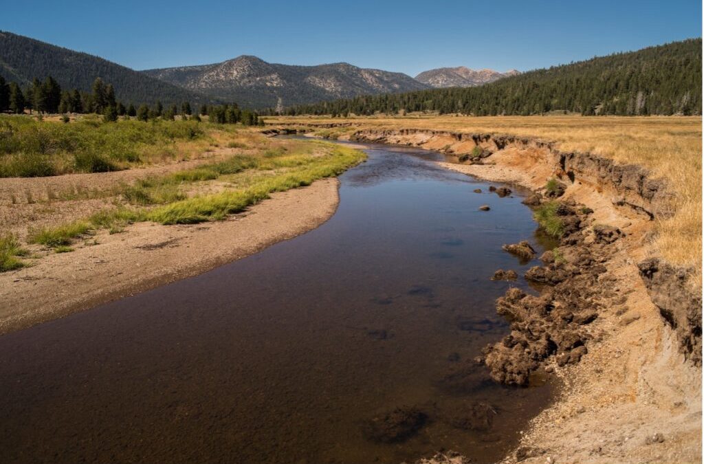 Five Things You Should Know About California’s Drought