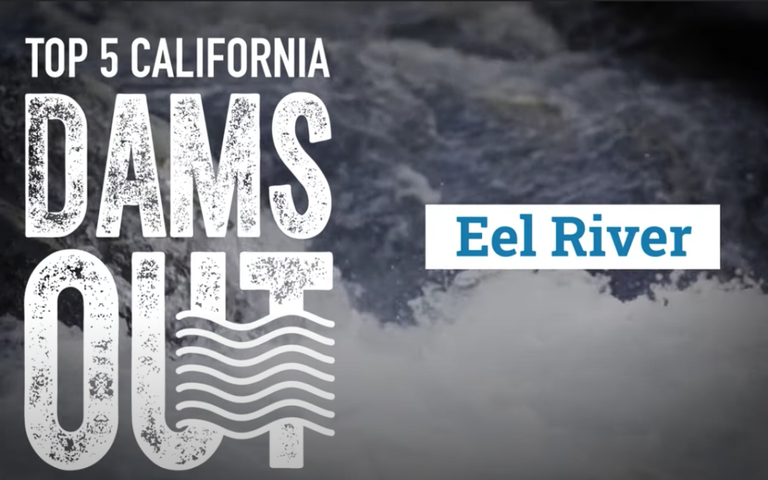 Eel River Dams – California Trout Top 5 Dams Out