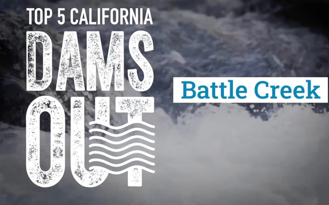 Battle Creek Dams — California Trout Top 5 Dams Out