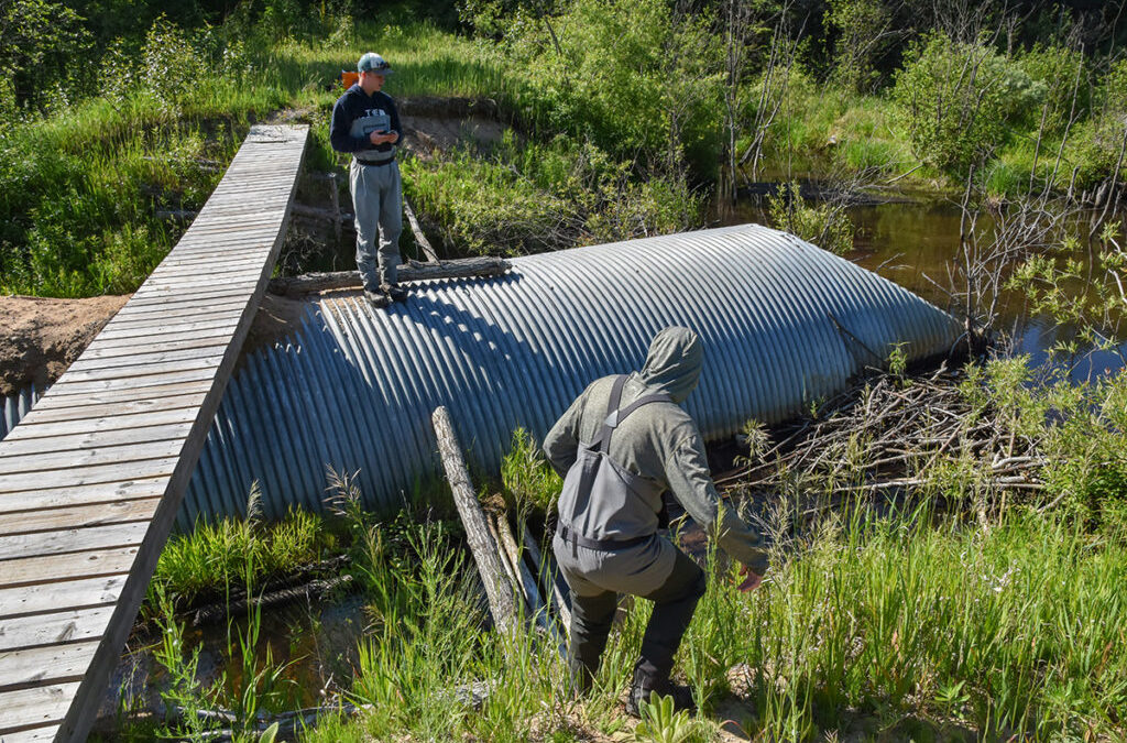 NOAA recommends an estimated $20M in funding for Trout Unlimited fish passage work
