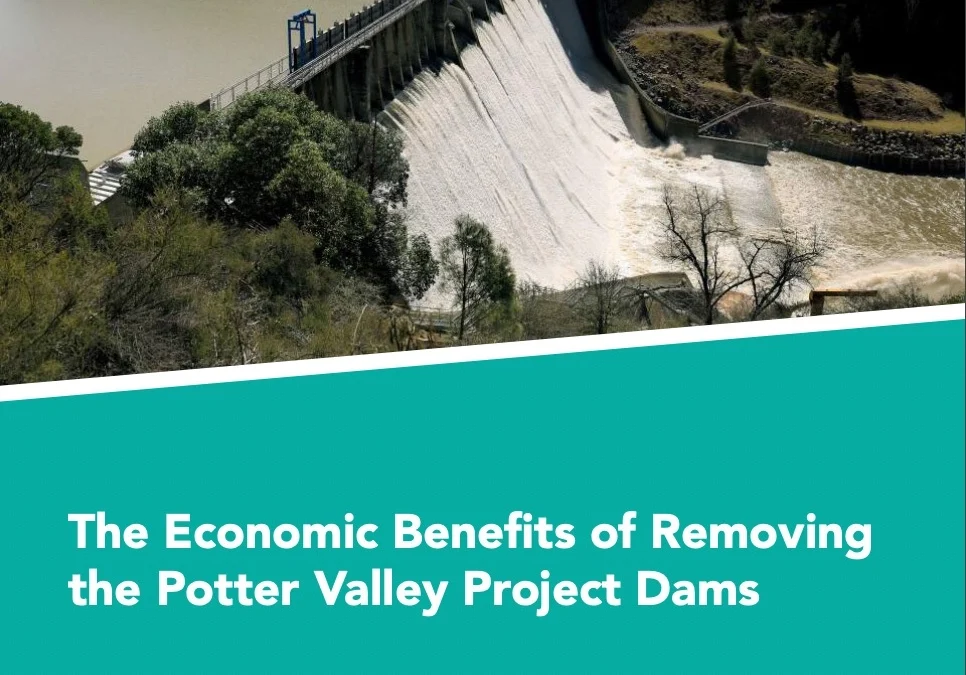 The Economic Benefits of Removing the Potter Valley Project Dams