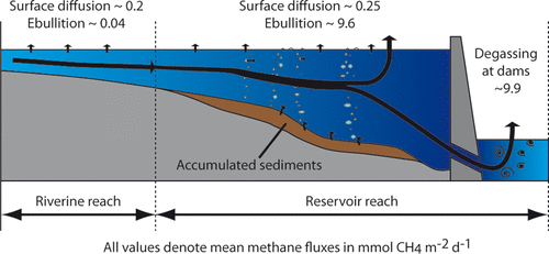 Sediment Trapping by Dams Creates Methane Emission Hot Spots