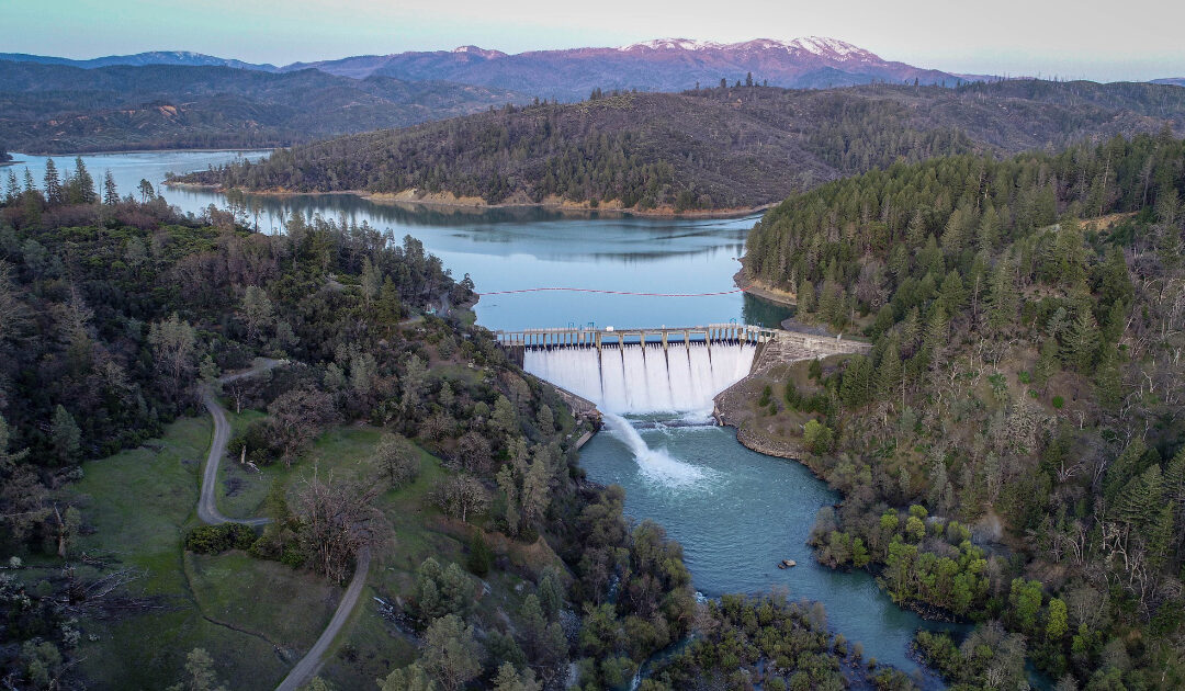CalTrout and Partners Sue PG&E over Harms to Eel River Salmon and Steelhead