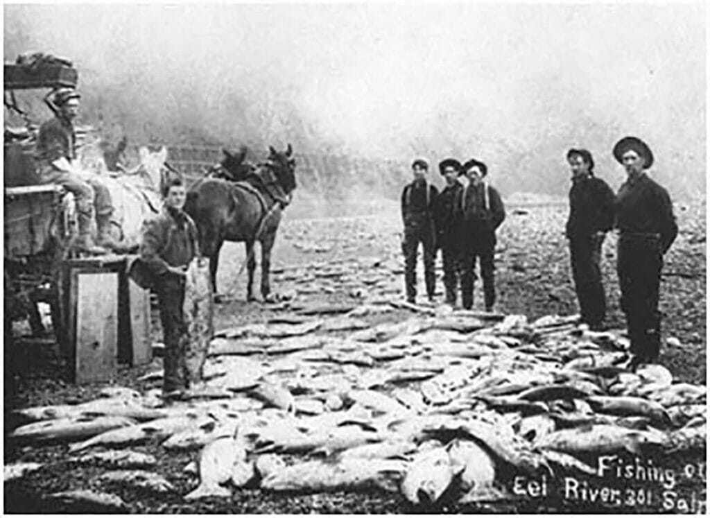 Photo from the 1800s if men standing around dozens of large fish on the ground