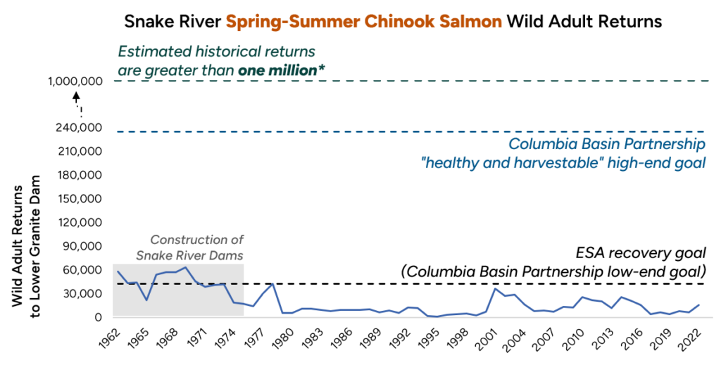 Chart titled "Snake River Spring-Summer Chinook Salmon Wild Audit Returns" showing a downward trend between 1962 to 2002 from 60,000 to 10,000.