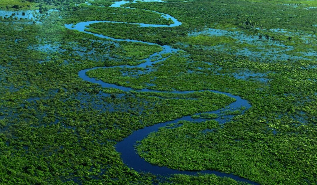 EPA Weakens Protections for Wetlands and Streams
