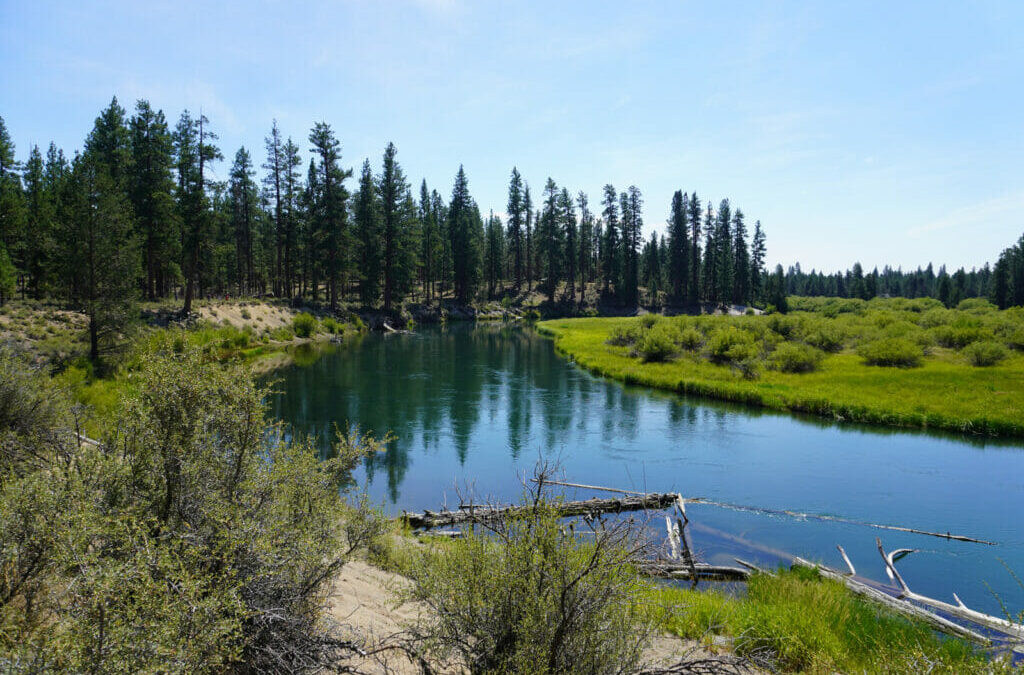 Trout Unlimited is building new partnerships in Central Oregon.