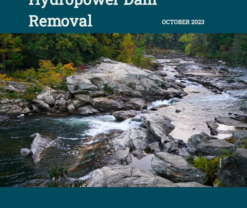 The “Practitioner’s Guide to Hydropower Dam Removal” is published
