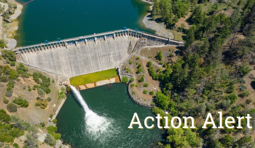 Action Alert: Tell PG&E To Urgently Remove Eel River Dams