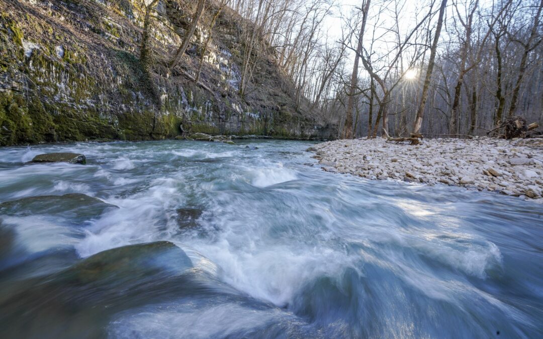 Urge Congress to Repair the Clean Water Act