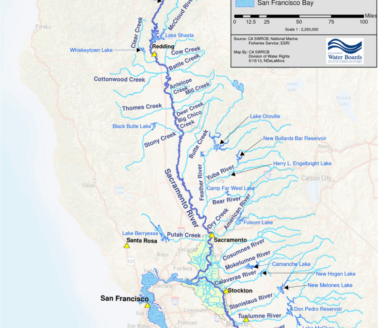 The Yuba River and the Bay Delta: A Vital Connection for Salmon