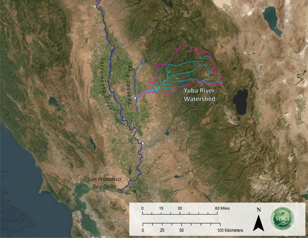 Map of the Yuba River Watershed and how it connects to the Bay-Delta