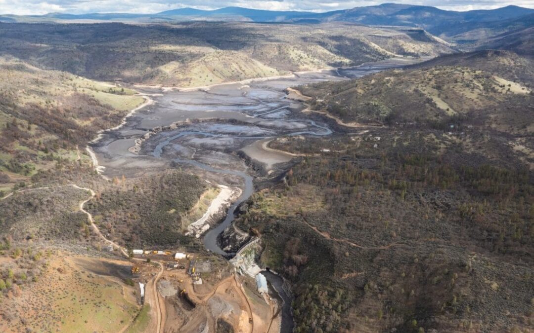 Klamath Reservoir Drawdowns: Short-term Costs for much larger long-term gains