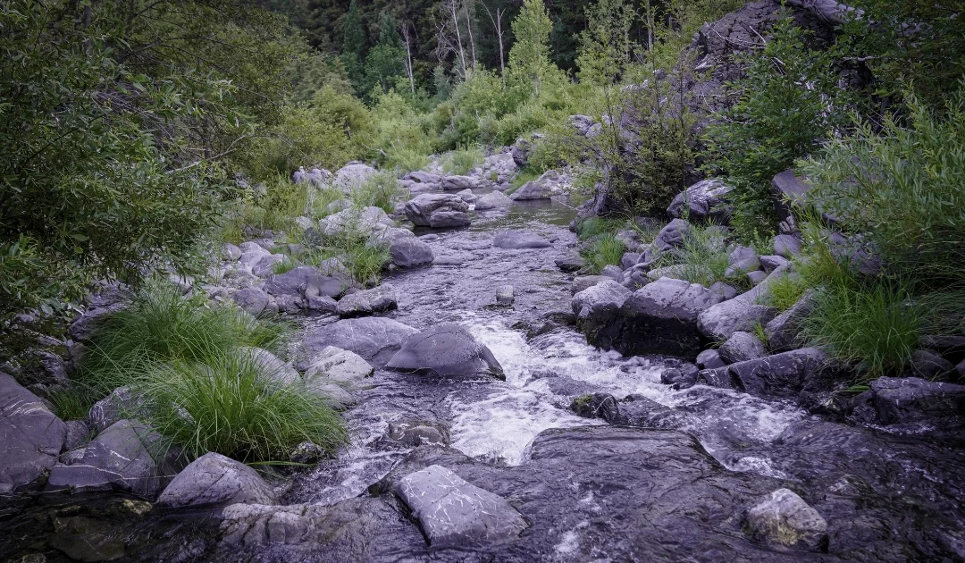 PG&E Makes it Official – Submits Plan to Remove Potter Valley Project Dams and Modernize Water Infrastructure