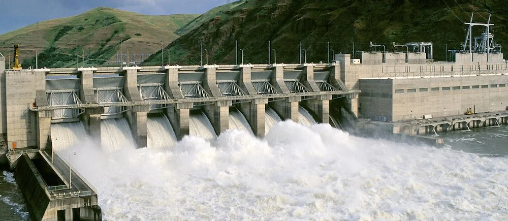 BPA Should be Leaning in on Salmon Recovery, not Attempting to Absolve Responsibilities