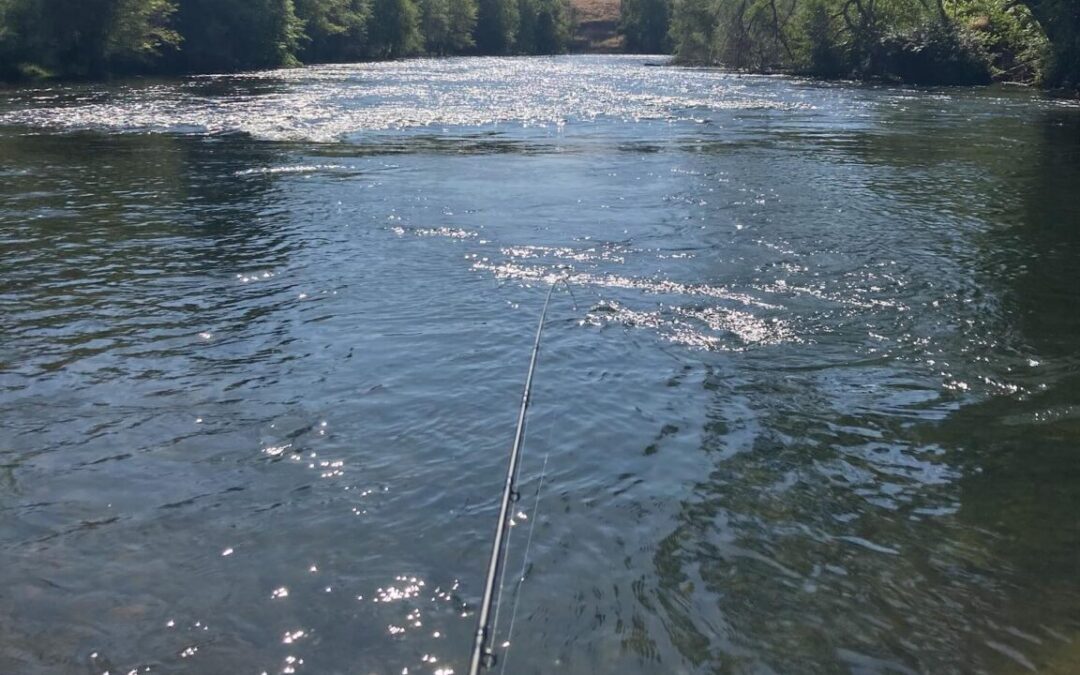Flood plain restoration below Camanche Dam